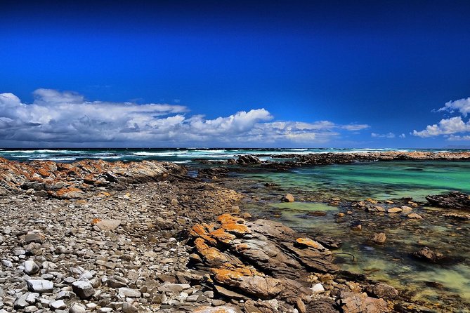 Cape Agulhas | Stony Point Nature Reserve - The return through Hermanus and Clarence Drive