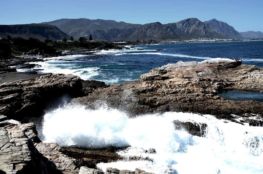 Cape Agulhas Tour from Cape Town - Key points to know before booking