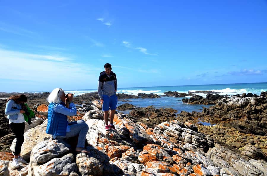 Cape Agulhas Tour from Cape Town - Farm roads, citrus orchards, and a useful refreshment break