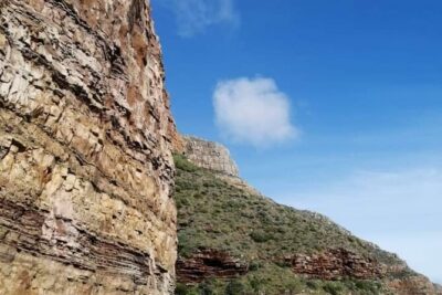 Cape of Good Hope and Penguin Beach Tour in Cape Town