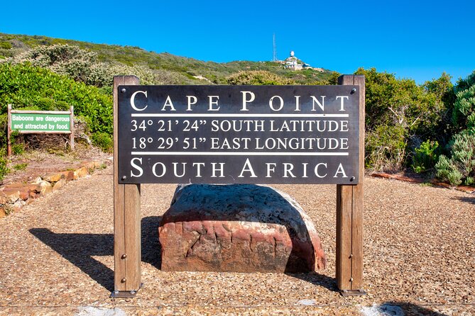 Cape of Good Hope and Penguin Beach Tour in Cape Town - Chapman’s Peak Drive delivers the scenery