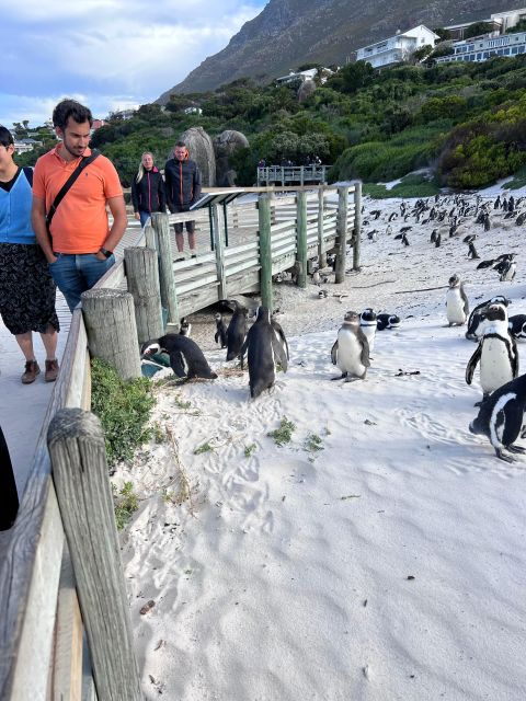 Cape of Good Hope and Penguins Full-Day Private Tour - Noordhoek coffee and a short pause