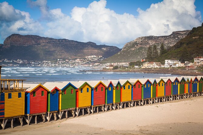 Cape Of Good Hope and Penguins Full Day Small Group Tour from Cape Town - Bo-Kaap: fifteen minutes of color and context
