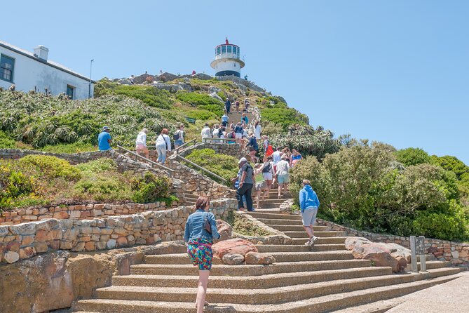 Cape Of Good Hope and Penguins Full Day Small Group Tour from Cape Town - Hout Bay and the optional Seal Island boat