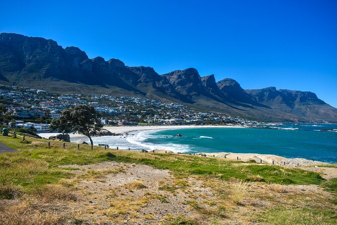 Cape of Good Hope & Boulder Penguins Full-Day Tour from Cape Town - Why this Cape Peninsula day works so well
