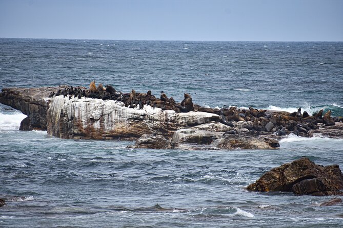 Cape of Good Hope & Boulders Beach Private Tour (Including Lunch) - Bo-Kaap gives the morning a human beginning