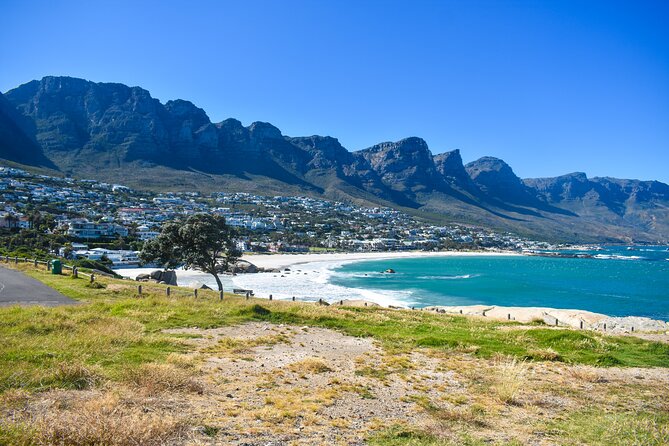 Cape of Good Hope & Boulders Beach Private Tour (Including Lunch) - Cape Point Nature Reserve needs the most time