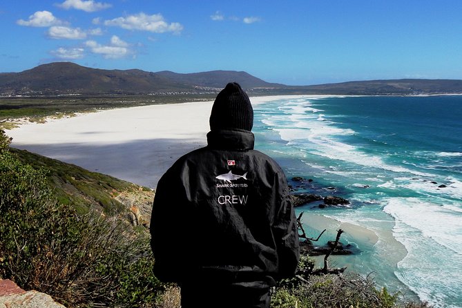 Cape of Good Hope, Cape Point & Penguins Private customizable Full Day Tour - Cape Point Nature Reserve and the lighthouse