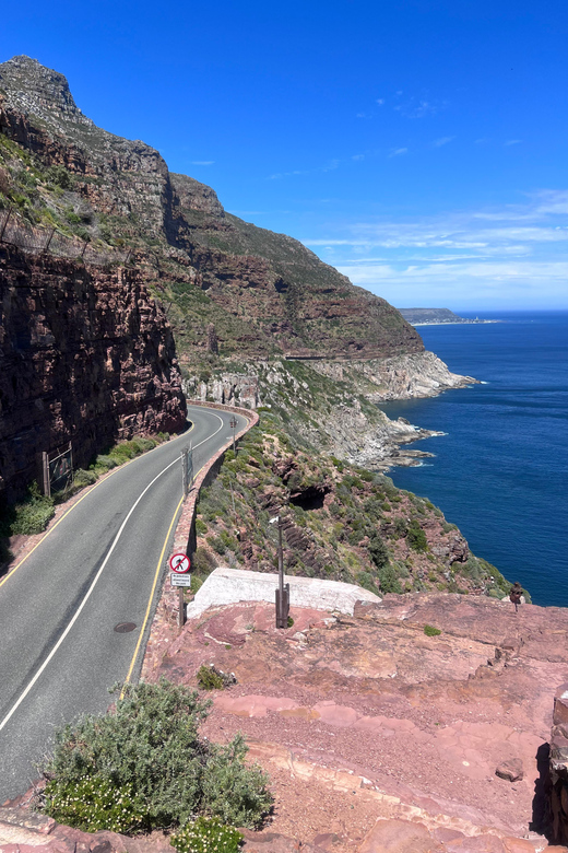 Cape of Good Hope, Chapman's Peak Drive, Penguins , Seals - Hout Bay offers an optional Seal Island trip
