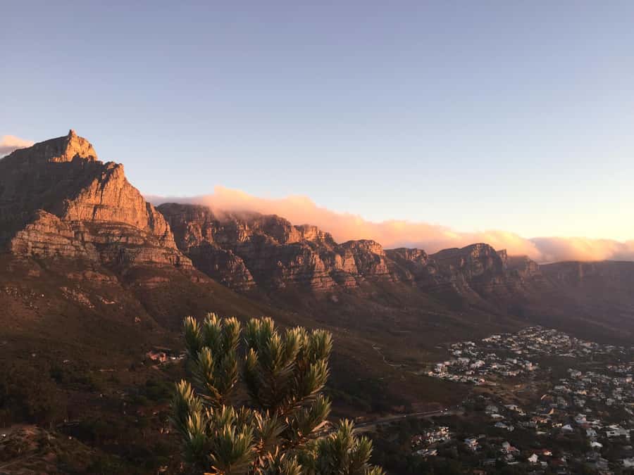 Cape of Good Hope Full-Day Private Tour - Hout Bay and the optional Seal Island boat