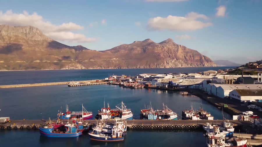 Cape of Good Hope Full-Day Private Tour - Clifton, Camps Bay, and the Atlantic Seaboard