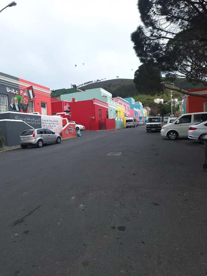Cape of Good Hope & Penguins Private Tour - Boulders Beach brings you close to African penguins