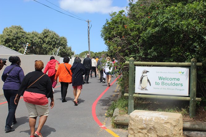 Cape Of Good Hope, Penguins Private Tour from Cape Town full day - Three hours inside Cape Point Nature Reserve