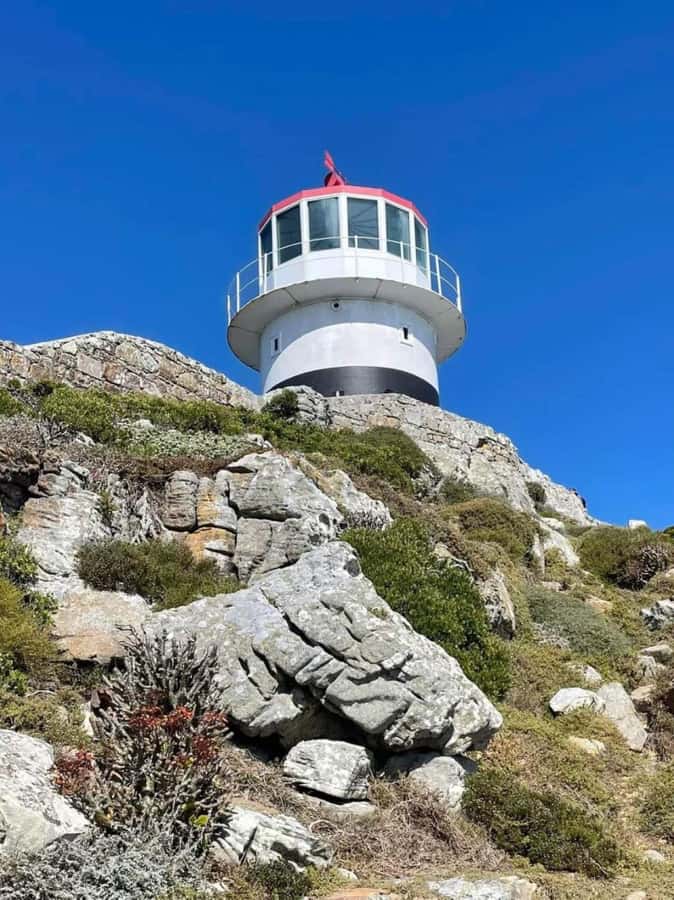 Cape of Good Hope & Penguins Shared Tour - Final call: book it for a broad Cape Town overview