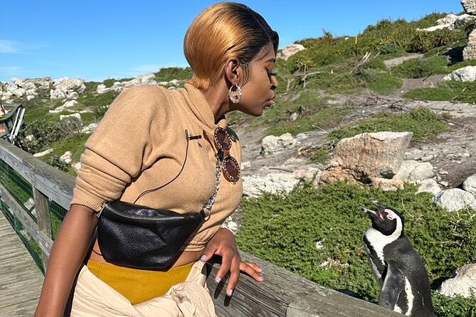 Cape of Good Hope & Penguins Small Group Tour from Cape Town - Noordhoek and Chapman’s Peak Drive