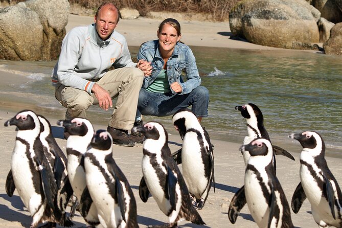 Cape of Good Hope & Penguins Small Group Tour from Cape Town - Camps Bay and the Atlantic Seaboard