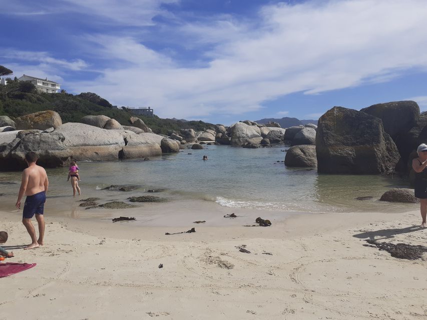 Cape of Good Hope: Sightseeing and African Penguins Tour - Coffee at Noordhoek Farm Village