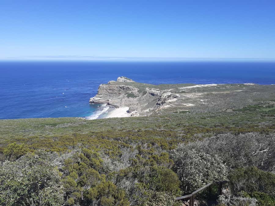 Cape of Good Hope: Sightseeing and African Penguins Tour - Lunch in Simon’s Town
