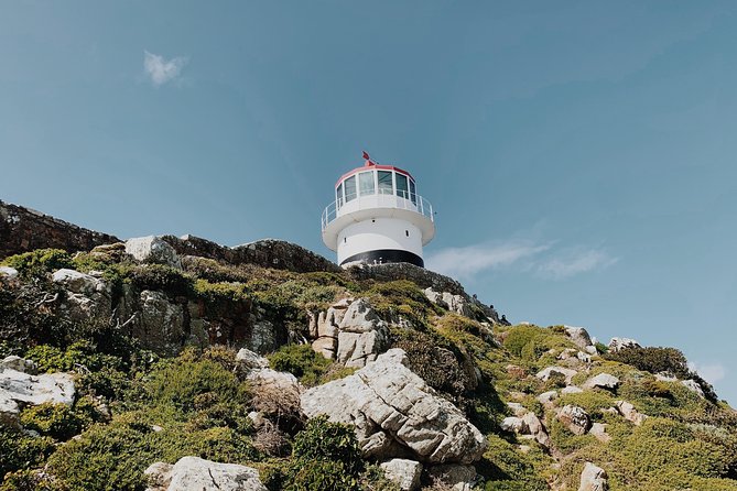 Cape of Good Hope, Table Mountain & Penguins Private Tour from Cape Town - Cape of Good Hope is more than a signboard
