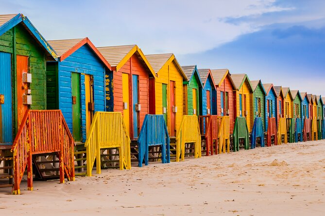 Cape of Good Hope, Table Mountain & Penguins Private Tour from Cape Town - Boulder’s Beach brings the African penguins close