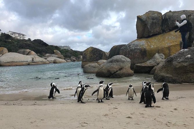 Cape Peninsula Adventure - Cape of Good Hope and a short off-route walk