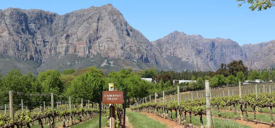 Cape Peninsula and Winelands Private Full-Day Combo Tour - Key points at a glance