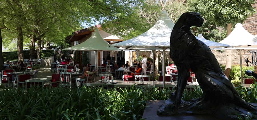 Cape Peninsula and Winelands Private Full-Day Combo Tour - Boulders Beach for African penguins
