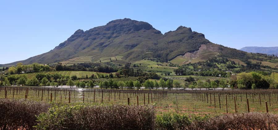Cape Peninsula and Winelands Private Full-Day Combo Tour - Lunch in Simon’s Town is your own choice