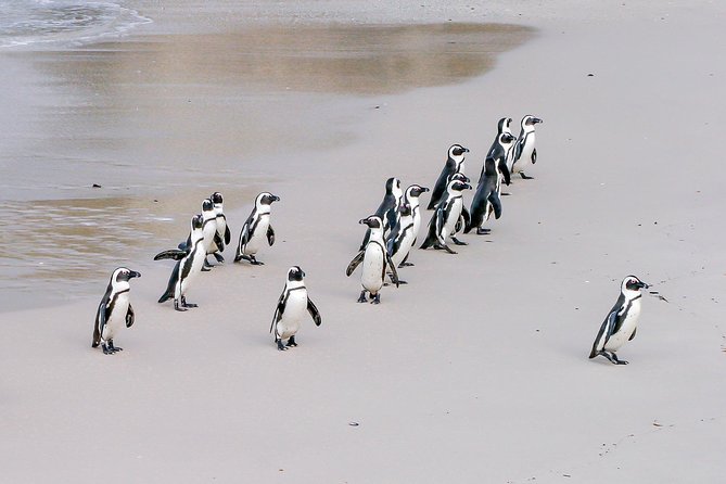 Cape Peninsula Cycle Tour - Starting at 7:00 am with the road ahead