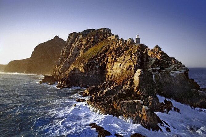 Cape Peninsula Day Tour - Starting from The Travel Cafe at 8:30 a.m.