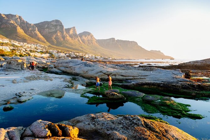 Cape Peninsula Day Tour - Victoria Road, the Twelve Apostles, and Camps Bay
