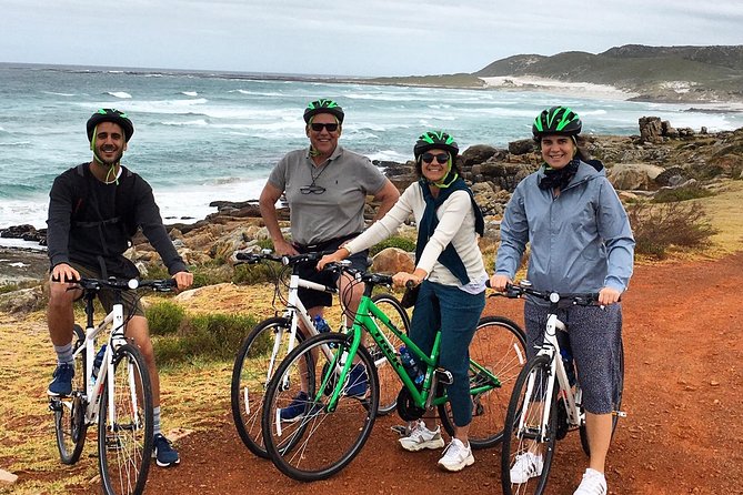 Cape Peninsula E-bike Cycle with Vehicle - Private Tour - Boulders Beach brings you close to African penguins