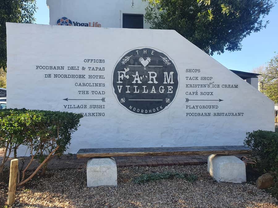 Cape Peninsula Full Day Tour In Private Car - Why this private Cape Peninsula route works well