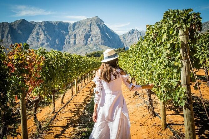 Cape Peninsula Helicopter Private Tour with Stellenbosch Wine Tasting & Lunch - Who should book this experience?