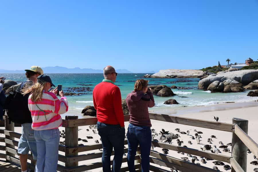 Cape Peninsula & Penguins Beach Half Day Tour from Cape Town - Who should book this Cape Peninsula trip?