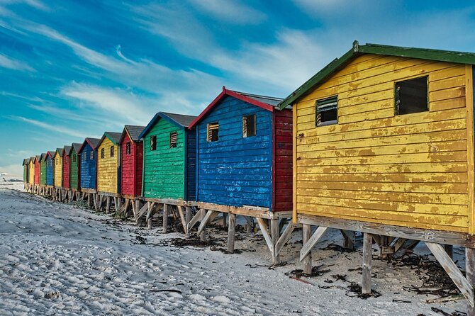 Cape Peninsula & Penguins Private Day Tour, Entrances Included. - Cape Point Nature Reserve brings wildlife and open space