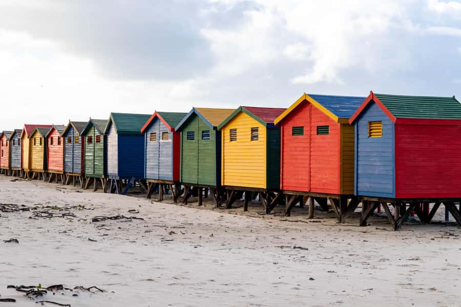 Cape Peninsula: Private Full Day Tour - Who Should Book This Day