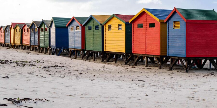 Cape Peninsula: Private Full Day Tour - Lunch at Seaforth or Harbour House