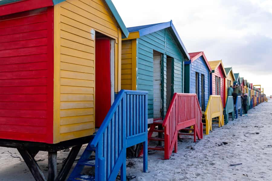 Cape Peninsula: Private Full Day Tour - What the $225 Price Really Buys