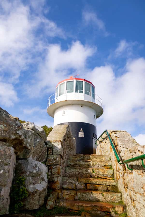 Cape Peninsula: Private Half Day Tour - A private route along Cape Town’s Atlantic edge
