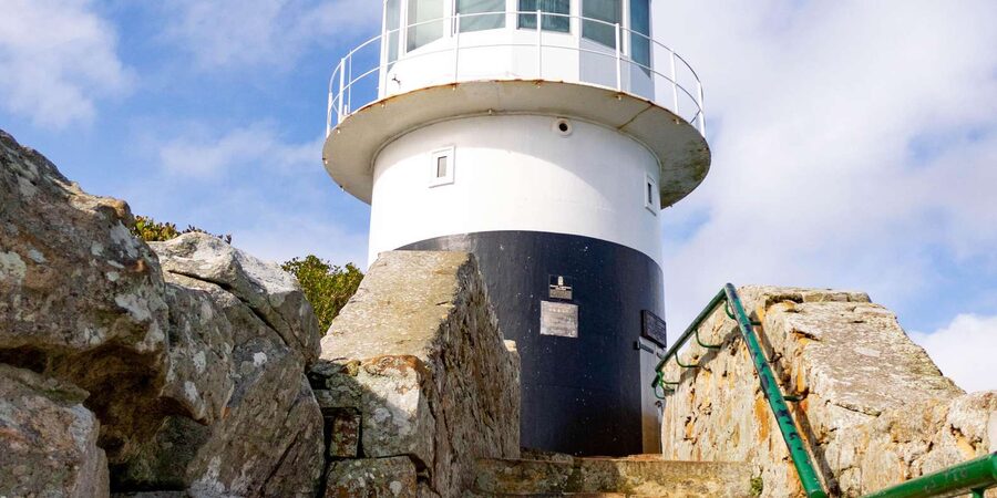 Cape Peninsula: Private Half Day Tour - Who should book this Cape Peninsula tour?