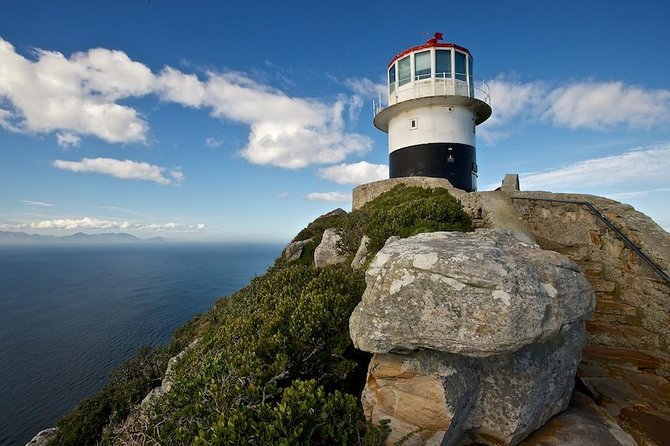 Cape Peninsula Private tour - What the $147.18 price really buys you