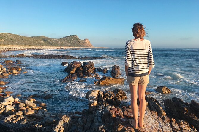 Cape Peninsula Private Tour In Cape Town South Africa - Simon’s Town and Boulders Beach penguins