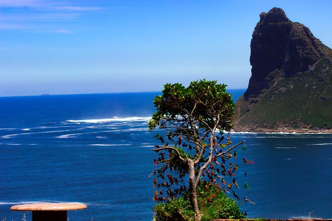 Cape Peninsula Private Tour Include Park Fees - The optional Hout Bay seal cruise