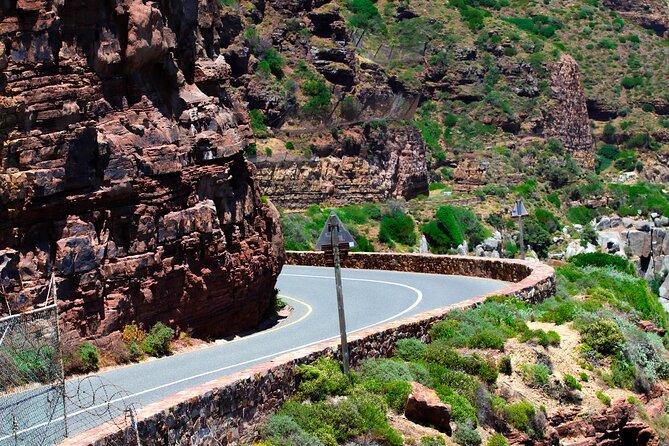 Cape Peninsula Private Tour Include Park Fees - Cape of Good Hope and Cape Point