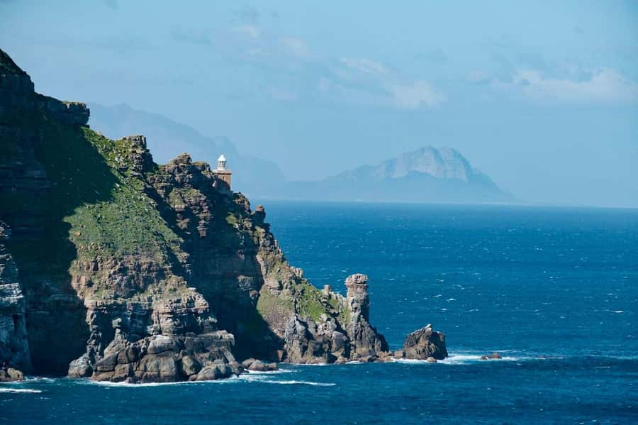 Cape Peninsula Shared Half-Day Tour - Key points to know before you book