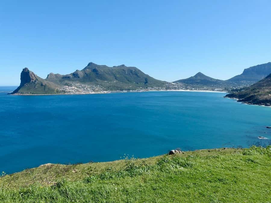 Cape Peninsula Shared Half-Day Tour - Simon’s Town and the optional African penguins