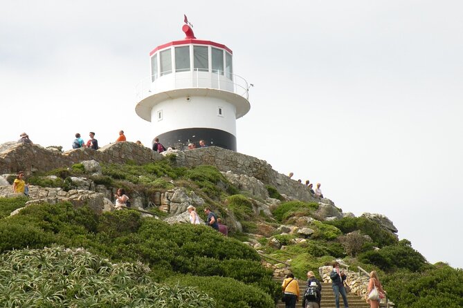 Cape Peninsula Tours - Cape Point gets the most time