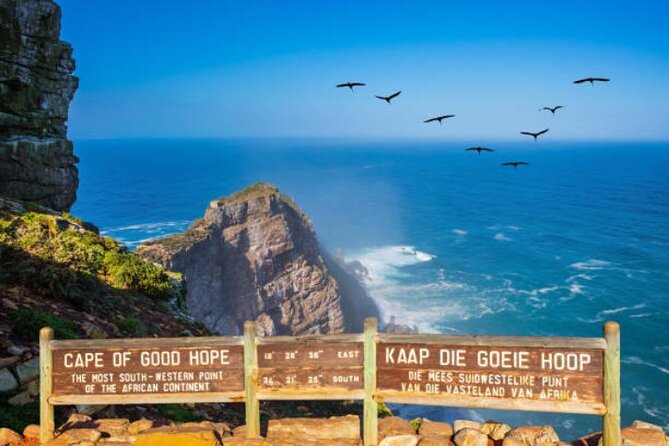 Cape Peninsula Tours - Hout Bay and the seal-island boat trip