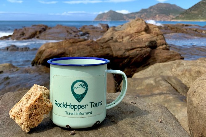 Cape Peninsula with a Marine Biologist - Chapman’s Peak Drive and the open-water lookout